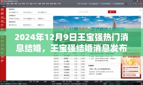 王宝强结婚消息全程见证，从关注到幸福的参与之路（2024年12月9日）