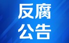 魏明被开除党籍和公职