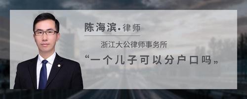 一个儿子可以分户口吗