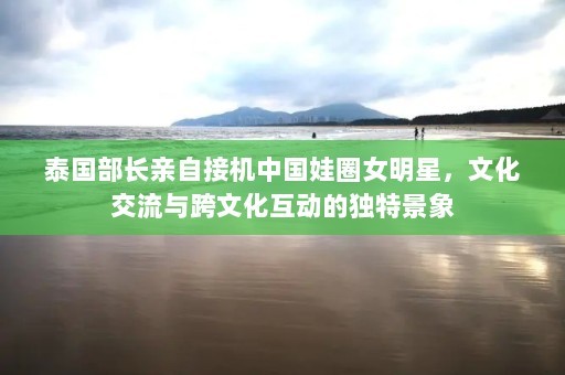 泰国部长亲自接机中国娃圈女明星，文化交流与跨文化互动的独特景象