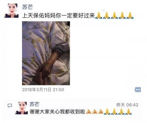 苏芒，一个被明星抢着抱大腿的女人，为照顾家人辞时尚集团总裁