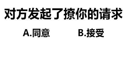 对方发起了撩你的请求A同意B接受 - 纯文字闲撩表情包_文字表情_撩妹撩汉表情