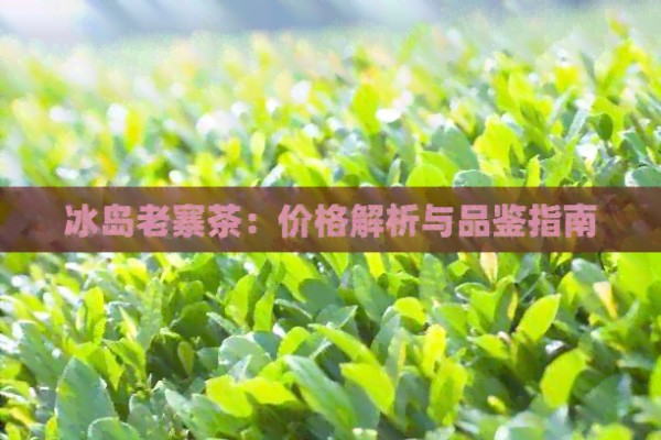 冰岛老寨茶：价格解析与品鉴指南