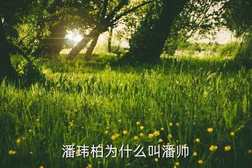 潘玮柏为什么叫潘帅