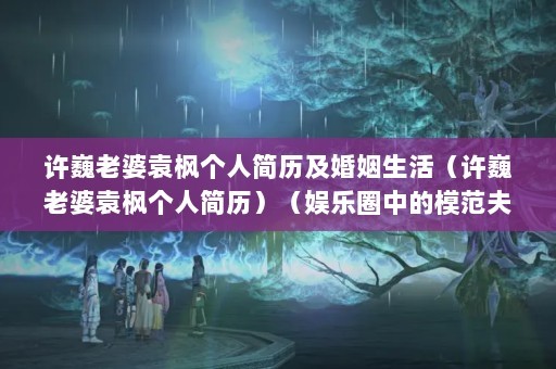 许巍老婆袁枫个人简历及婚姻生活（许巍老婆袁枫个人简历）（娱乐圈中的模范夫妻许巍和袁枫的婚姻生活一直被外界看好）