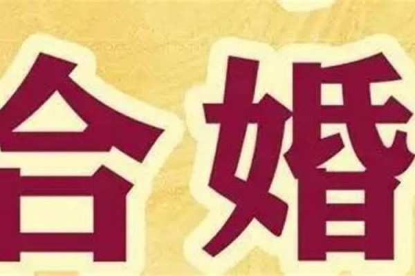 属马和属牛的生意能相处吗