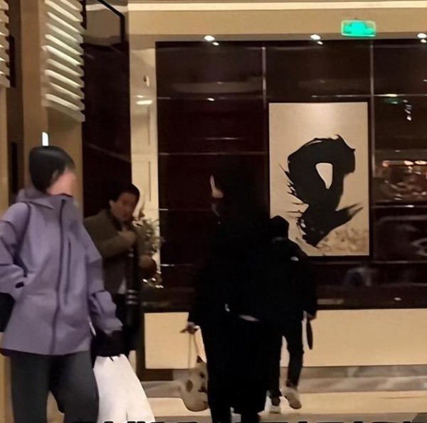 刘亦菲陈金飞酒店聚餐，星光下的亲密瞬间还是商业合作？，刘亦菲与陈金飞酒店聚餐背后的亲密瞬间还是商业合作之谜？