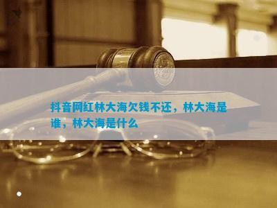 抖音网红林大海欠钱不还，林大海是谁，林大海是什么