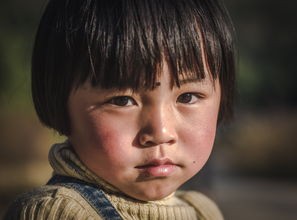 从好东西小孩看梅婷育儿观，明星家庭中的成长与教育