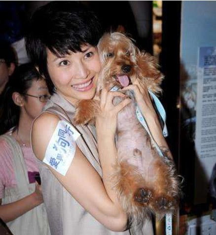 蔡依林为爱犬庆生，娱乐圈爱狗成痴的十大美女明星都有谁？