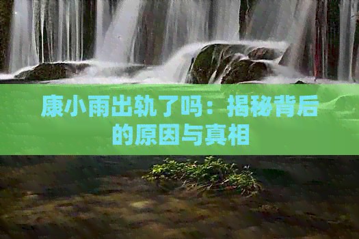 康小雨出轨了吗：揭秘背后的原因与真相