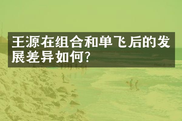 王源在组合和单飞后的发展差异如何？