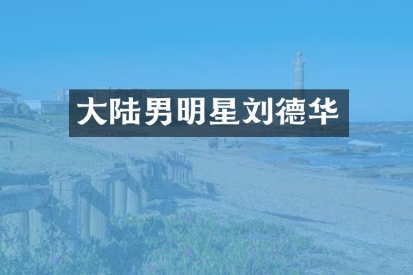 大陆男明星刘德华