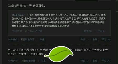 张依依为什么被打事件 张依依黑历史是什么