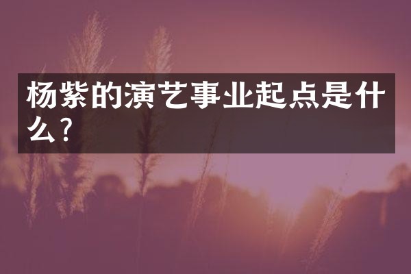 杨紫的演艺事业起点是什么？