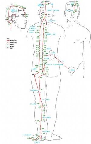 天柱穴在足太阳膀胱经中的位置.png