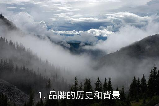 1. 品牌的历史和背景