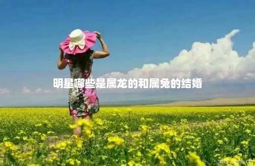 明星哪些是属龙的和属兔的结婚