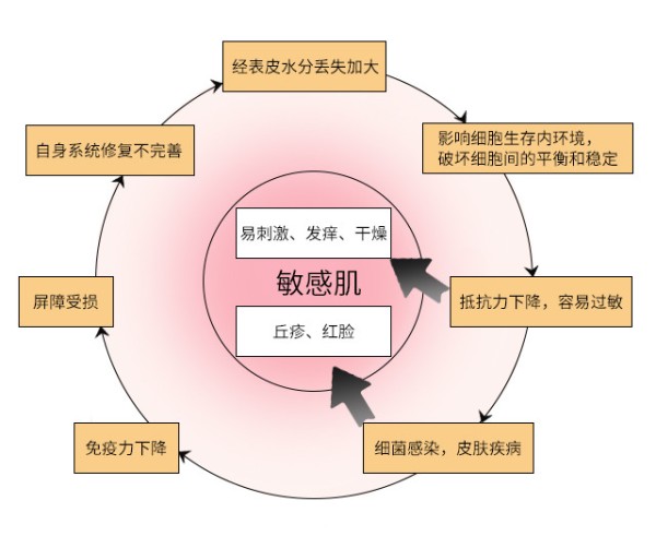 皮肤屏障受损什么意思 什么原因导致皮肤屏障受损