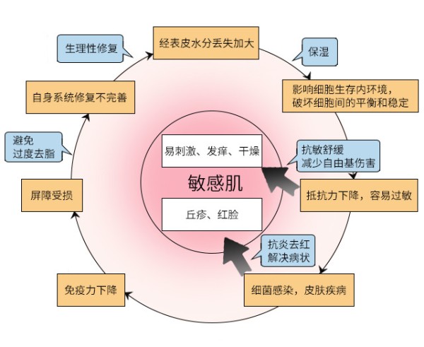 皮肤屏障受损什么意思 什么原因导致皮肤屏障受损