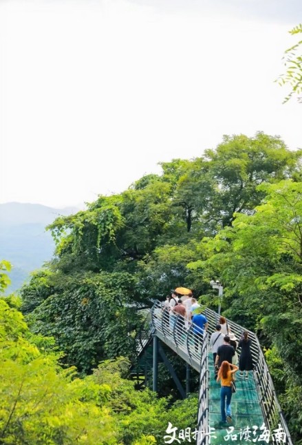 海南百花岭