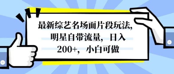 图片[1]-最新综艺名场面片段玩法，明星自带流量，日入200+，小白可做-流星社区