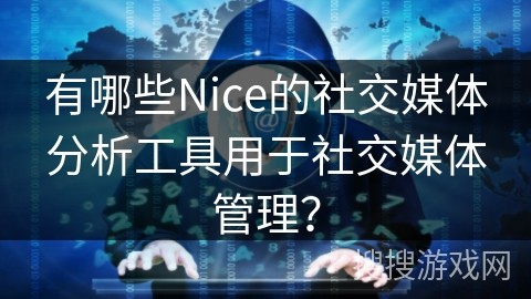 有哪些Nice的社交媒体分析工具用于社交媒体管理？