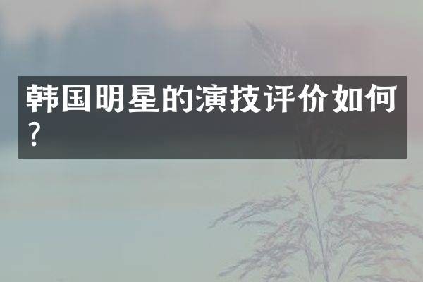 韩国明星的演技评价如何？