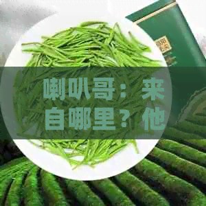 喇叭哥：来自哪里？他的背景是什么？他是如何成为网络红人的？