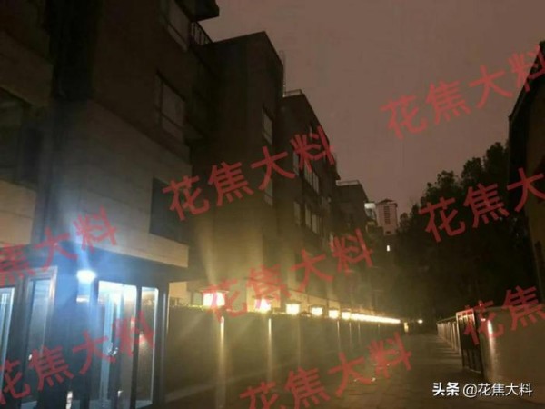 张雨绮婚内与