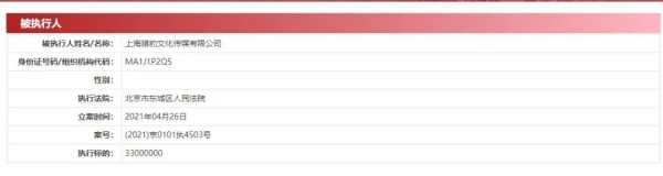 图片来源：中国执行信息公开网