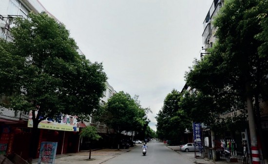 ·江西瑞金市绵江路街景。