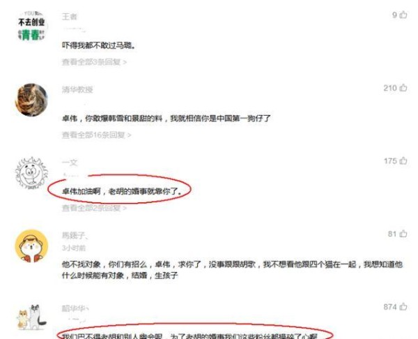 卓伟揭露多个明星丑闻，对胡歌毫无办法，网友：胡歌婚事靠你了