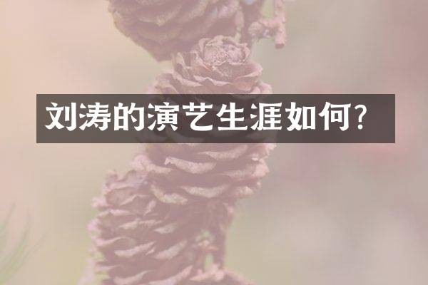 刘涛的演艺生涯如何？