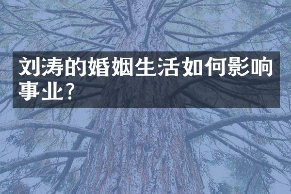 刘涛的婚姻生活如何影响事业？