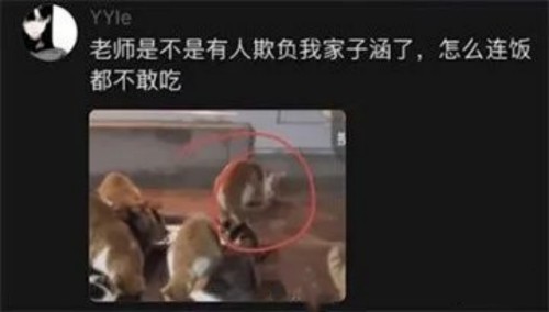 我们家子涵是什么梗 我们家子涵梗意思介绍