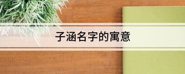 子涵名字的寓意