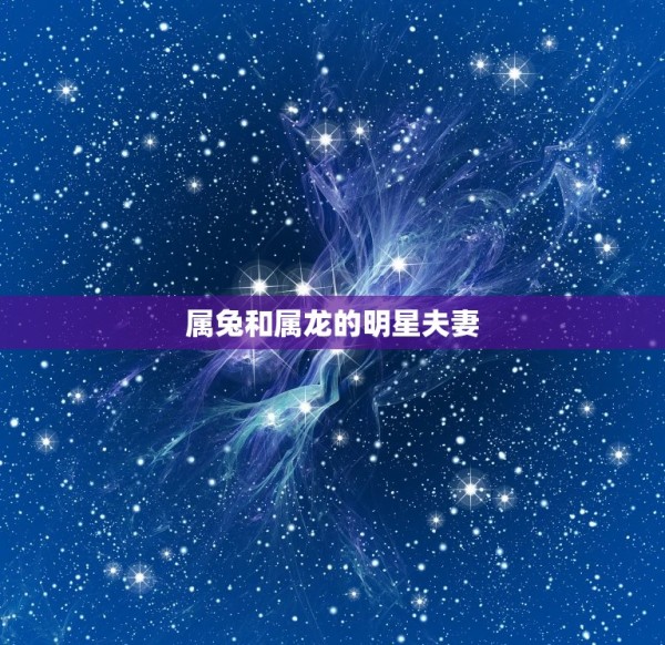 属兔和属龙的明星夫妻(爱情长跑幸福的方法是什么)