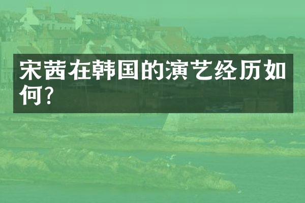 宋茜在韩国的演艺经历如何？