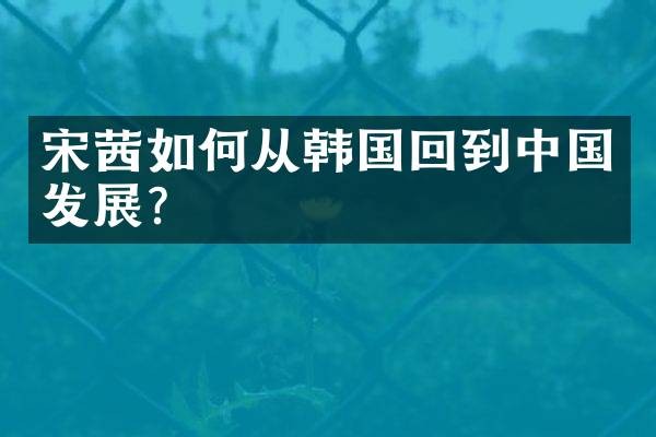 宋茜如何从韩国回到中国发展？