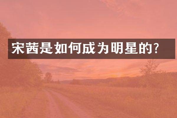 宋茜是如何成为明星的？