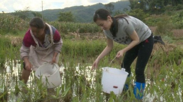 当红女明星回农村干活，一眼就看出谁在摆拍，韩国媳妇最赞