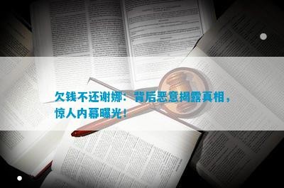 欠钱不还谢娜：背后恶意揭露真相，惊人内幕曝光！