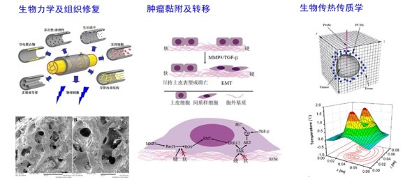 研究兴趣