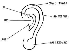 耳朵面相算命图解大全-从耳朵看一生运势吉凶1