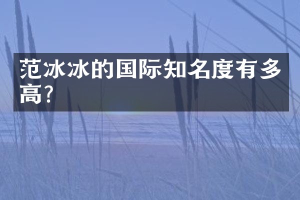 的国际知名度有多高？