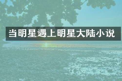 当明星遇上明星大陆小说