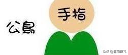 牡丹鹦鹉的公母判定宝典