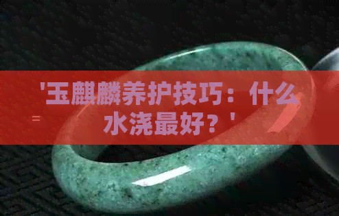 '玉麒麟养护技巧：什么水浇更好？'