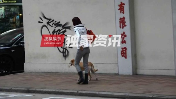 独家：恋爱无望？48岁宣萱一心只在狗身上